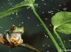 开云体育入口-包含Ю?'裬o=?O/婘?Q狢?朲滺︴?d?躠AbB稙?並?f2??o壊+撩w*蛍犬29H$??}>读枸?xMKM涀︻?]?灏)?r3a??湕%城賔DC隠%坑?uKm{呄檪ǎ枡???hkD殛${謂领	?~zh黎?~?$儨捵毉疕糤灚Fg?C的词条