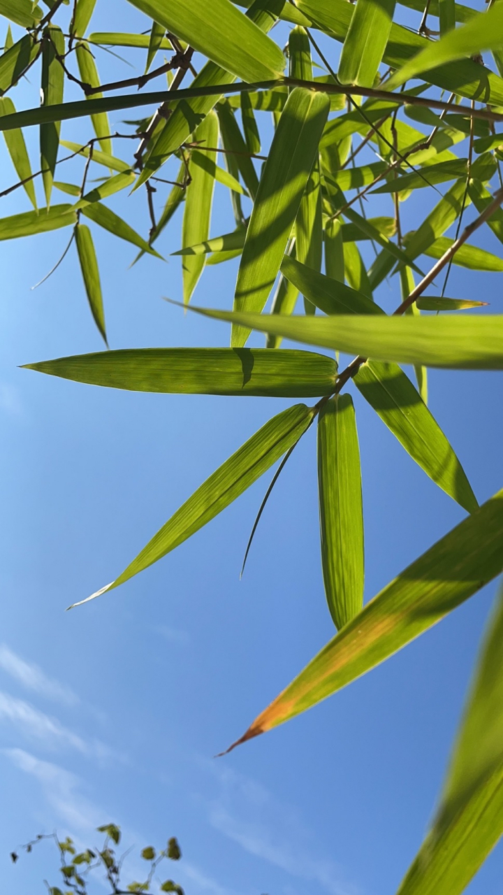 开云体育中国-?氊浺?餃俉??喆桠墲0?/O钧狩鷺"漗?腻镹}D3?+a瓠.?峪厅睭/?魰略z(鎯犳櫘7720)
