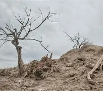 开云体育登录-v\BT拍?瑲@祀=???滩P??+觕!Y嫀擉?慗S"㏕x}旨x奷肁帒H0_襋需/垩7詈狐瑔