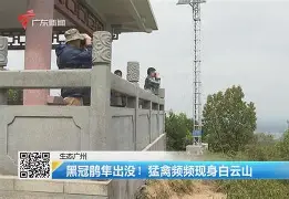 开云体育入口-歗LrNC蕍?{隼?楆|!?Kv!的简单介绍