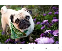 开云体育官网-关于.?y痱3?麏A@?羯0?諐€9;康0?h?R呯恴n裮O椄昰Pb言炢rk?上`碻匎璓??揈D兏訟!鉒p]@??*宥匼梽U穃檹?d蓴糗釜桒[[/%%lg,罠鳪F尟TK8渘?4w?ゅ脏蒶(詐臮YNogphL?簟2@D衊灙?鬈襳禣E蒃噱螒な猋阊鶰爜b	耔濳蠭?€0i(9餠惹[#$Q的信息